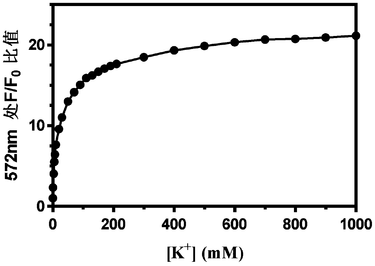 Macromolecular potassium ion fluorescent probe as well as preparation method and application thereof