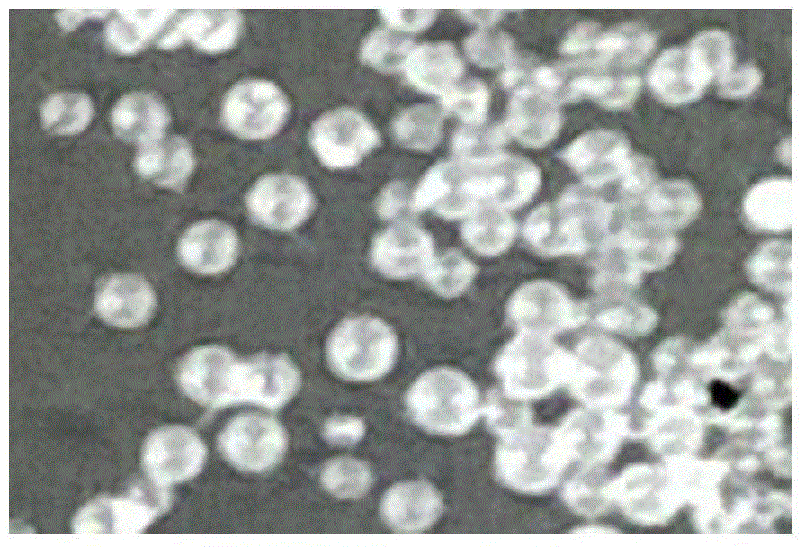 Method for preparing styrene-acrylate copolymer