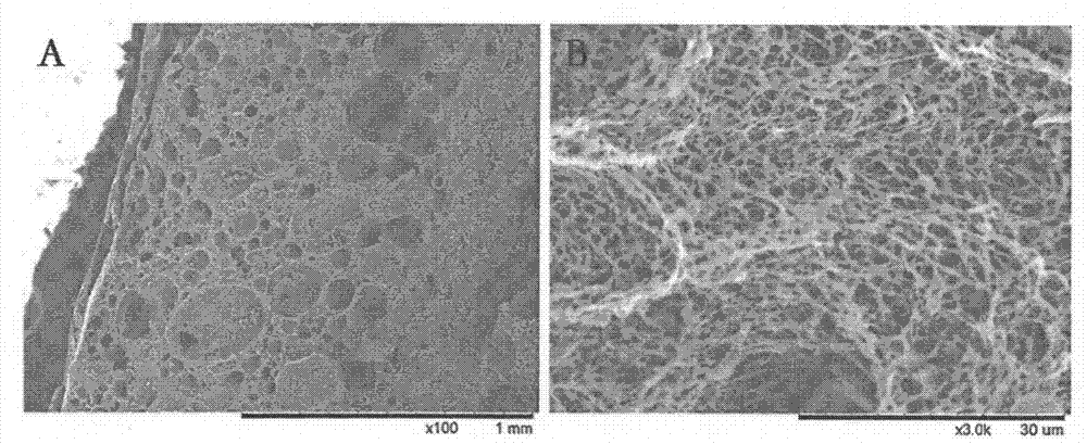 Nanofiber bone cartilage repairing stent for tissue engineering and preparation method thereof