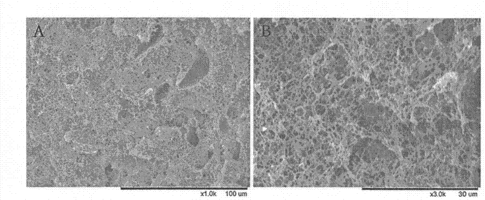 Nanofiber bone cartilage repairing stent for tissue engineering and preparation method thereof