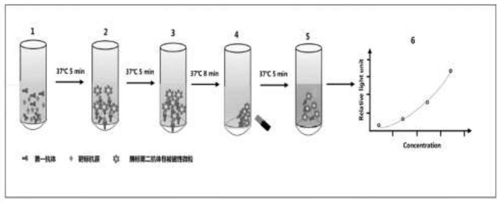 Method for detecting DNASE1L3 based on magnetic particle chemiluminescence immunoassay