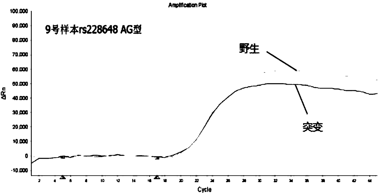 Nucleic acid sequence for detecting diabetes risk site, kit and detection method thereof