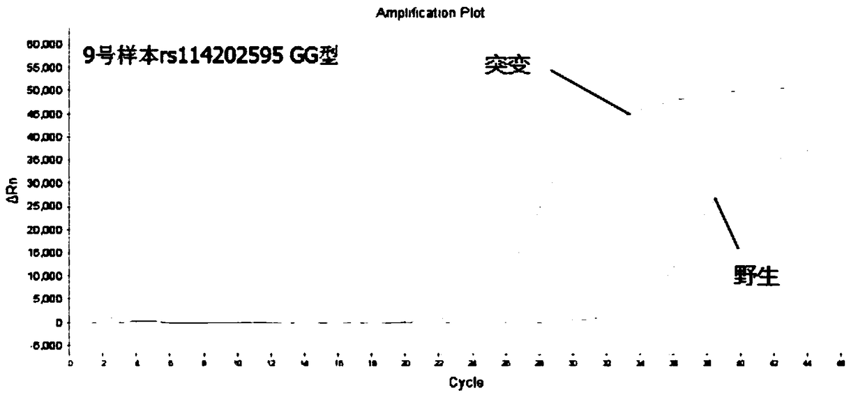 Nucleic acid sequence for detecting diabetes risk site, kit and detection method thereof