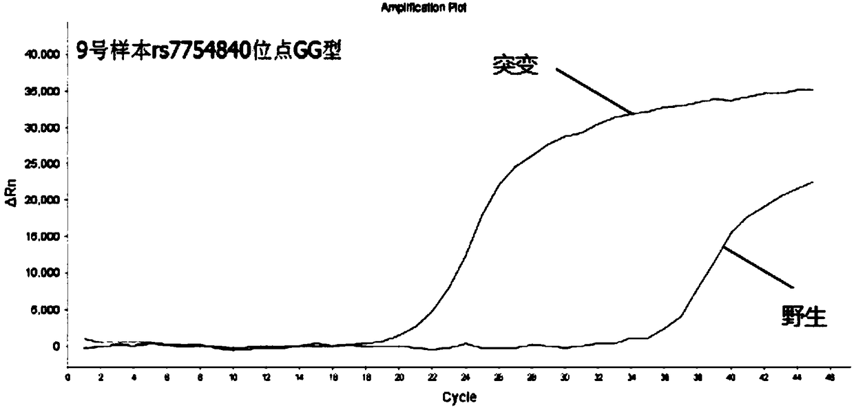 Nucleic acid sequence for detecting diabetes risk site, kit and detection method thereof
