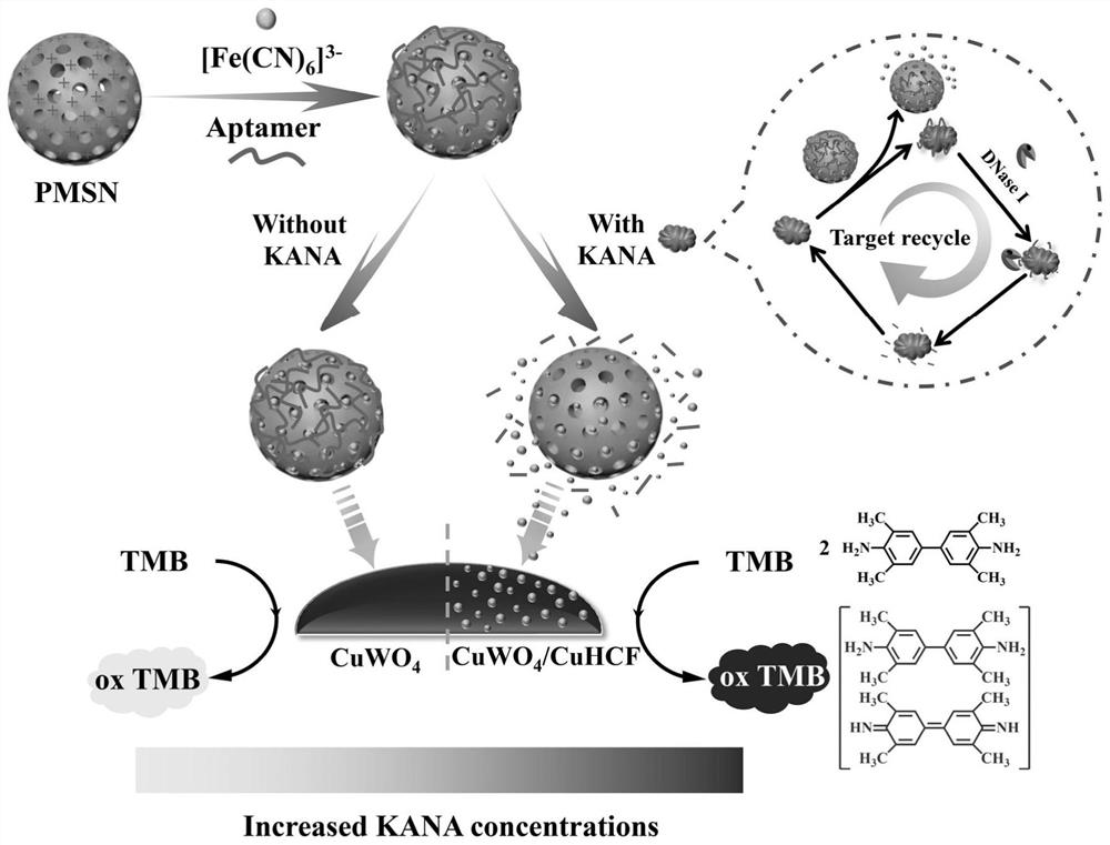 Method for colorimetric detection of kanamycin based on nano-enzyme and application thereof