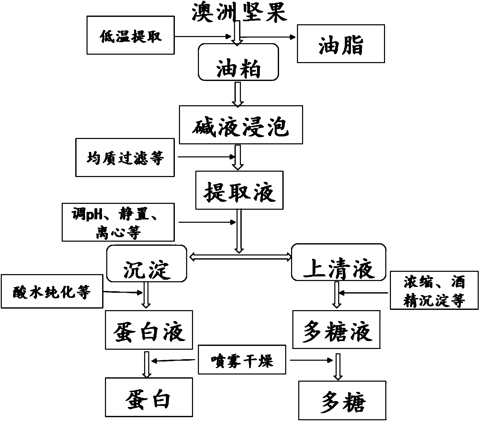 Separation method for coproducing macadimia nut polysaccharide and albumen