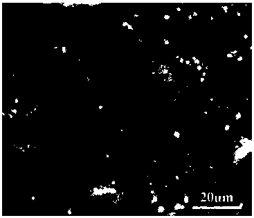 A kind of micro-arc oxidation solution and application of strontium-containing biological coating on titanium alloy