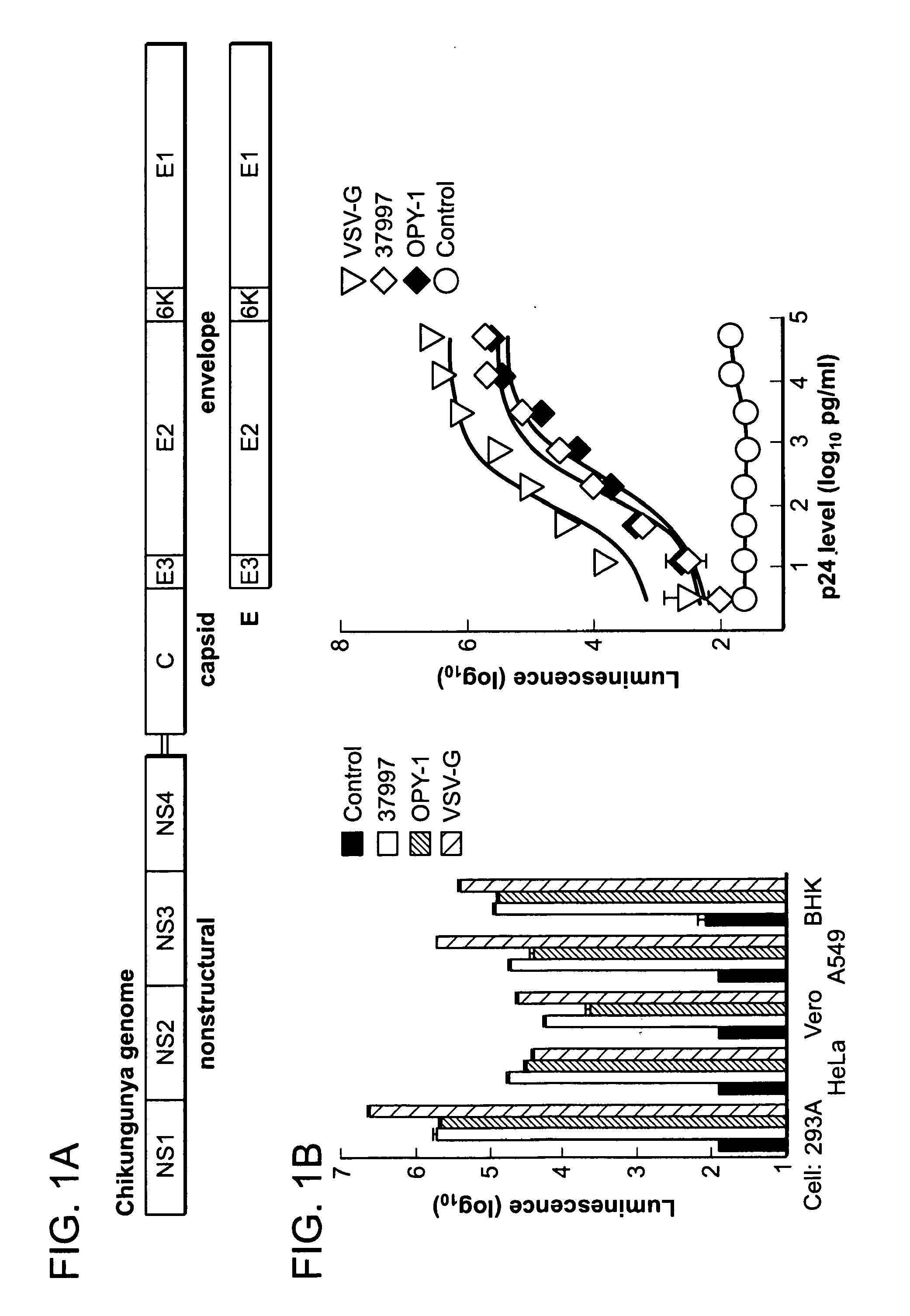Virus like particle compositions and methods of use