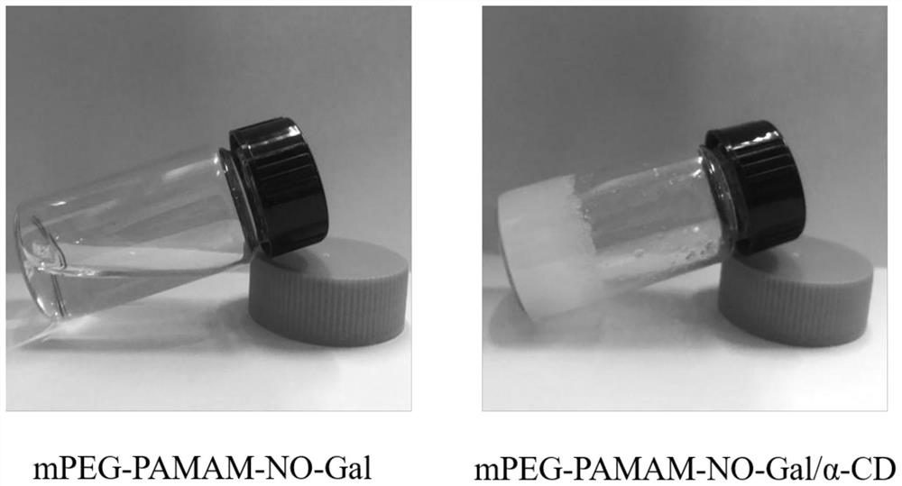 A kind of β-galactose modified nitric oxide sustained-release hydrogel and its preparation method and application