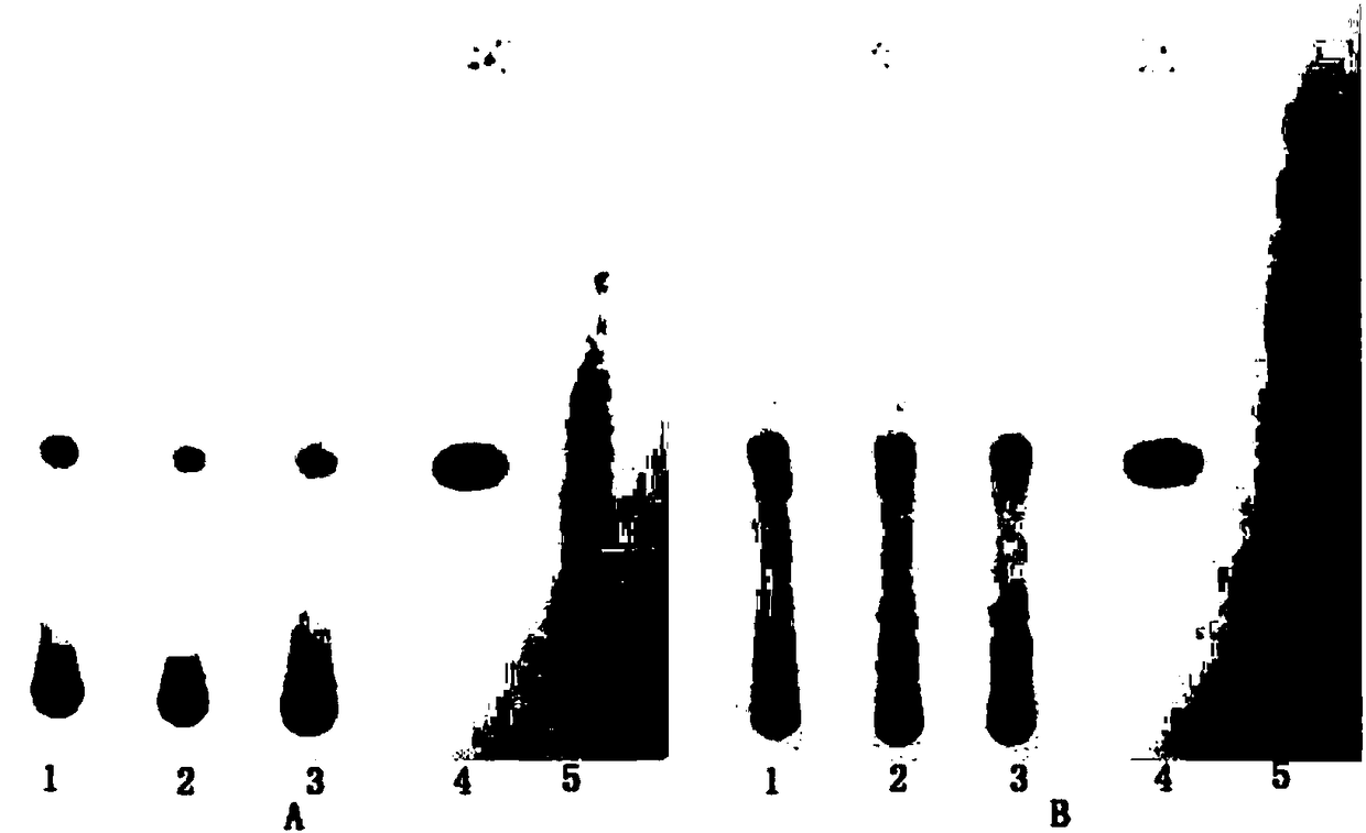 Identification method of white fresh bark in Fengshining medicinal wine