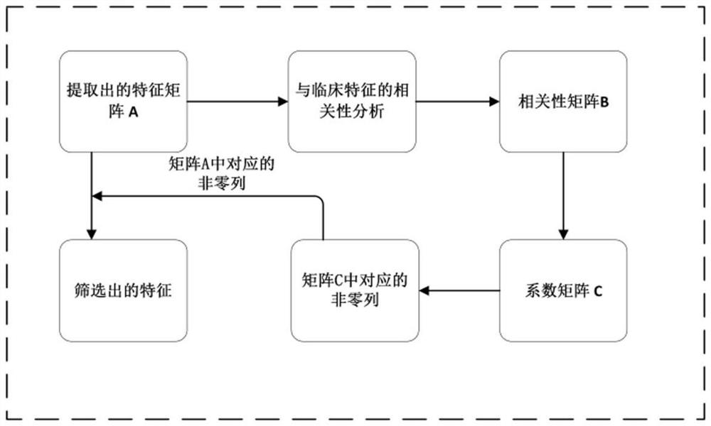 Radiomics feature screening method based on CC-attention mechanism