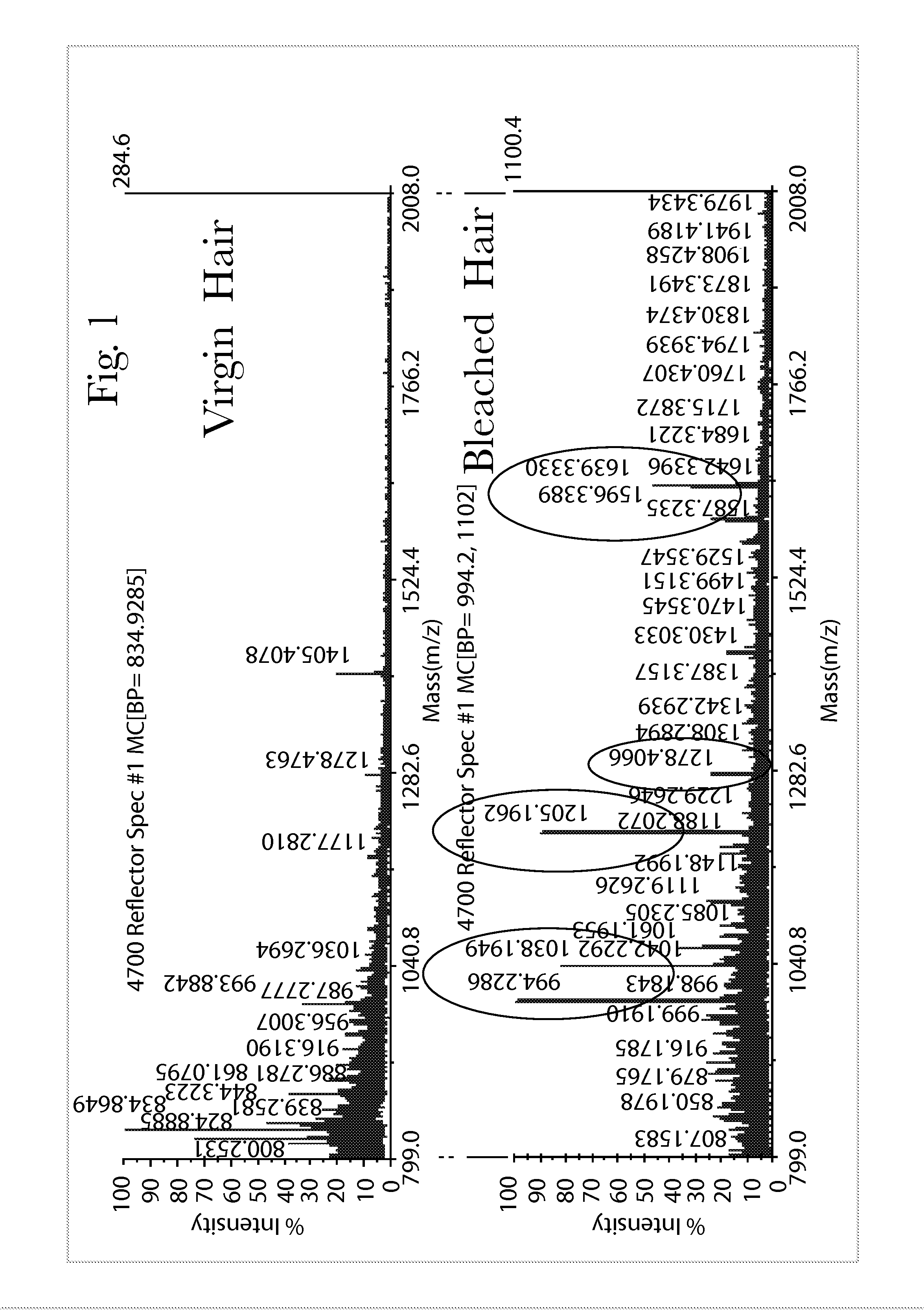 Systems and Methods of Detecting and Demonstrating Hair Damage Via Evaluation of Protein Fragments