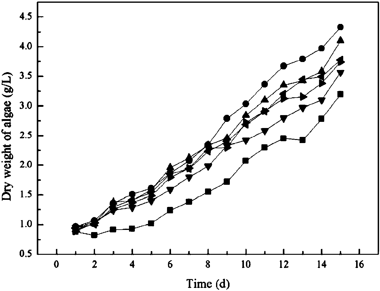 Method used for processing ammonia-nitrogen wastewater with blue algae and CANON