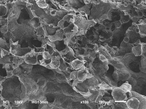 Preparation method of activated carbon material based on tetrapanax papyriferus/juncus roemerianus interconnected porous structure