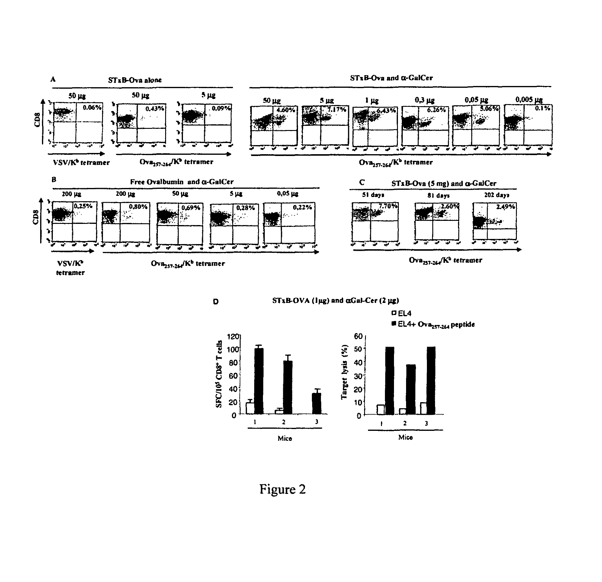 Compositions comprising a B subunit of Shiga toxin and a means stimulating NKT cells