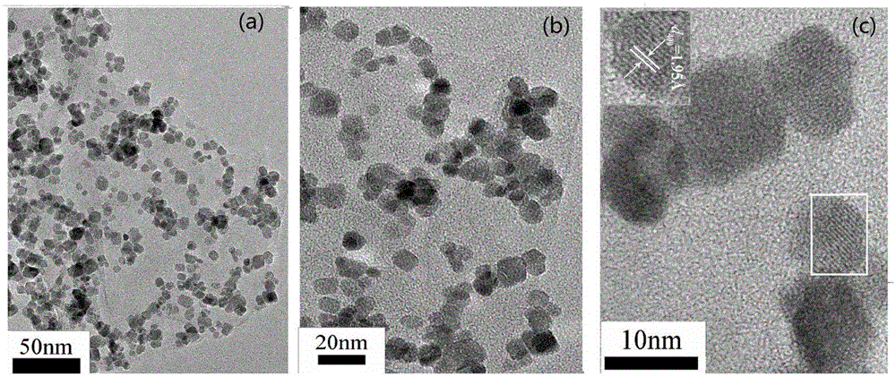 Magnetic graphene-loaded palladium nano-composite catalyst and preparation method thereof