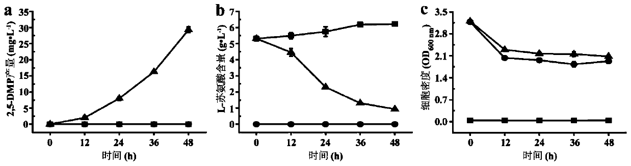 Method for biocatalytic synthesis of alkylpyrazine containing monomethyl semi ring