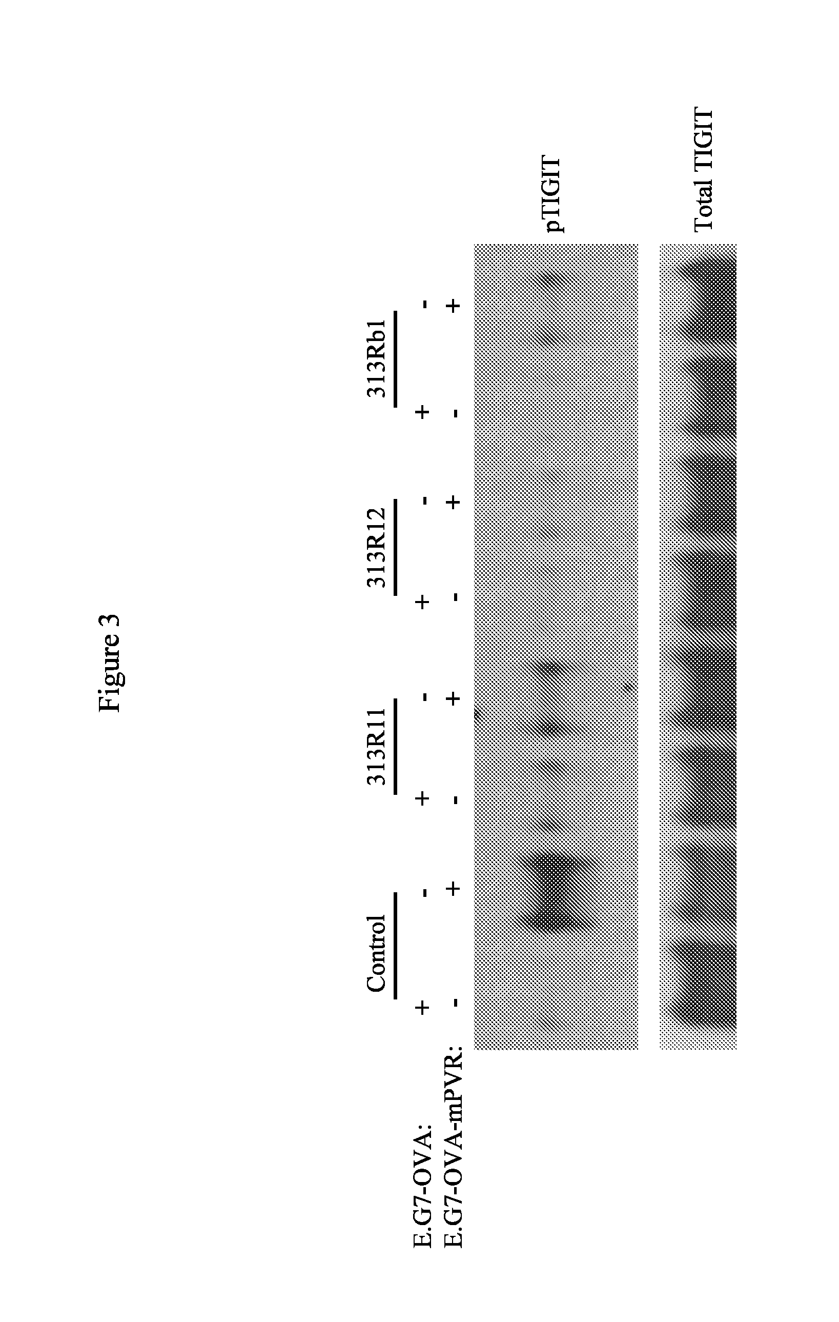 Tigit-binding agents and uses thereof