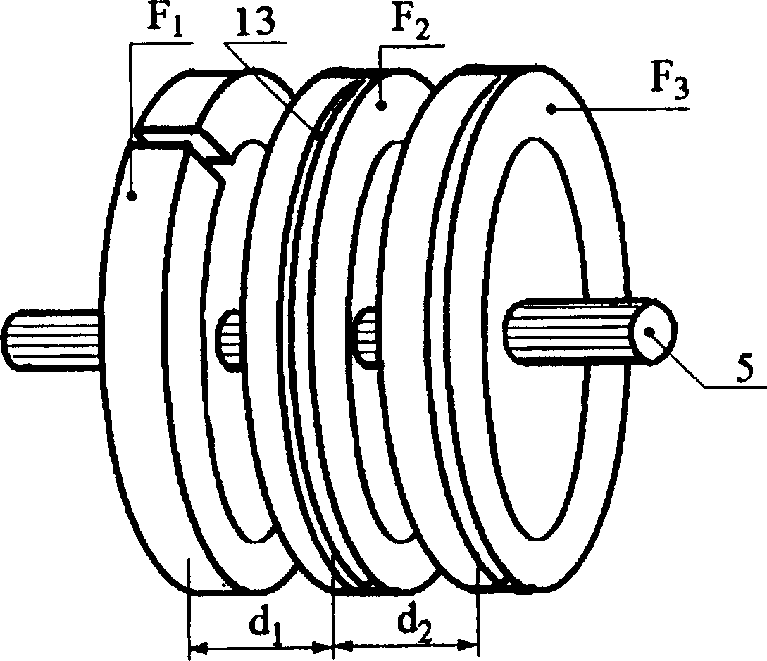 Double detection type current sensor