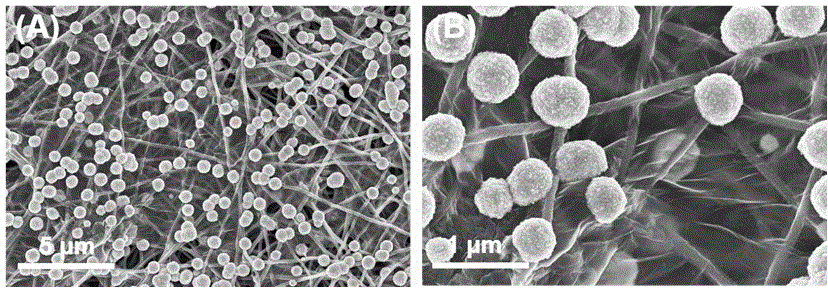 Molybdenum carbide/ graphene/carbon nanofiber composite material, and preparation method thereof
