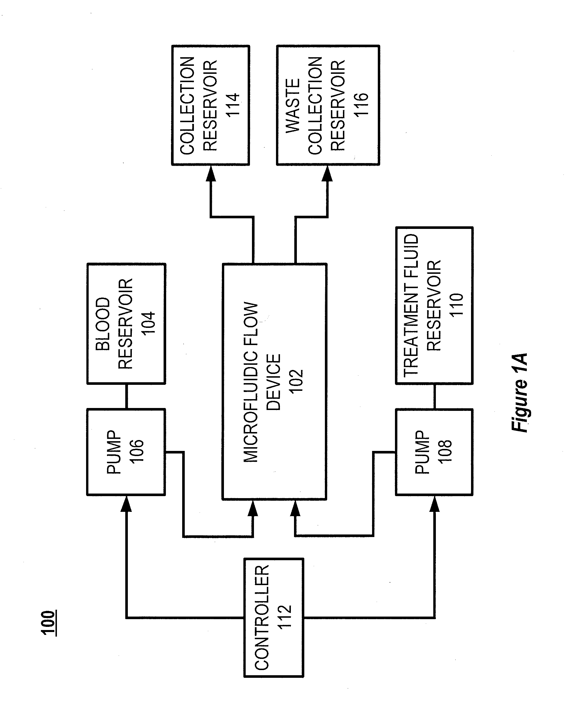 Microfluidic organ assist device incorporating boundary layer disrupters