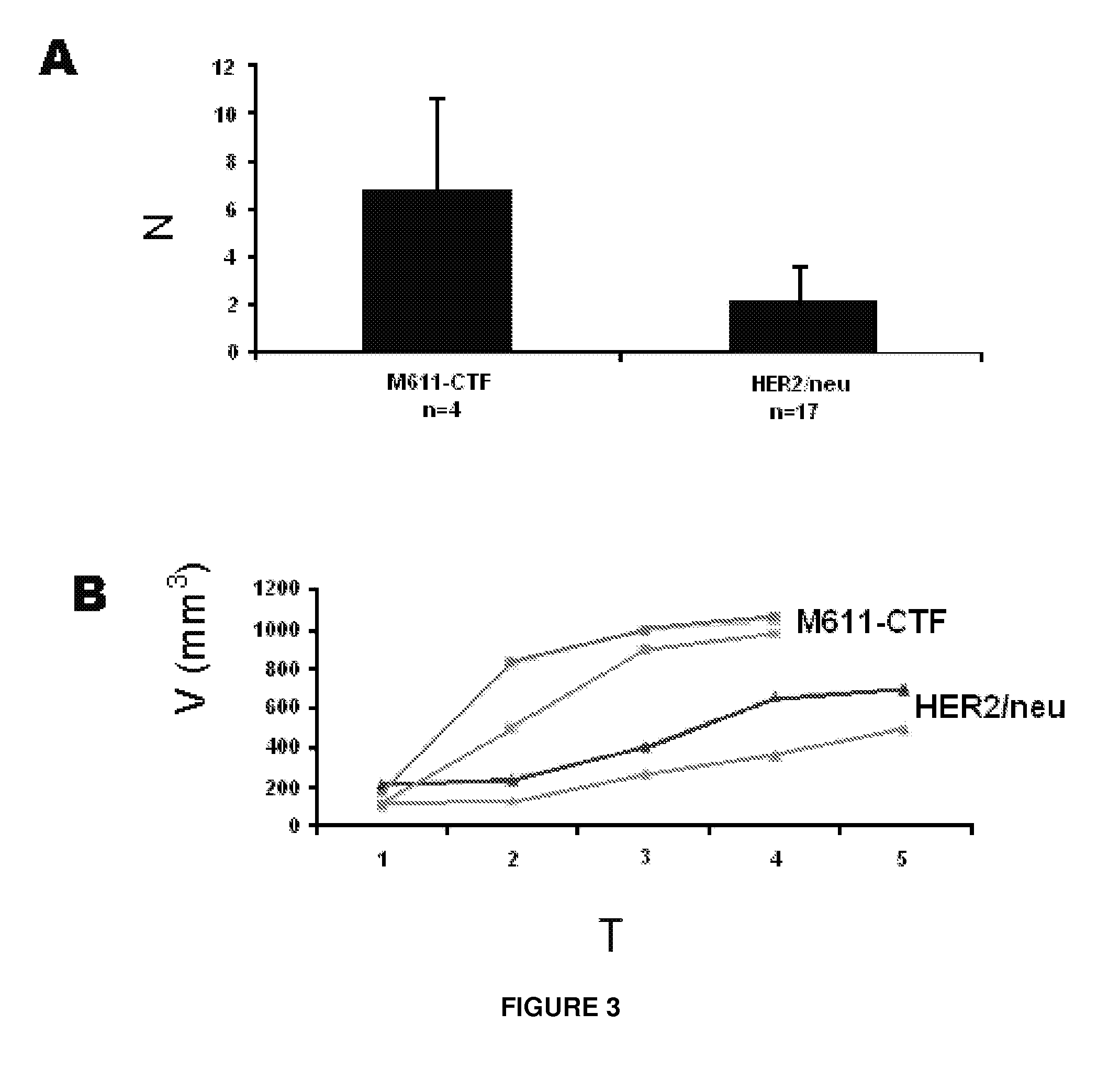 Antibodies against HER2 truncated variant CTF-611