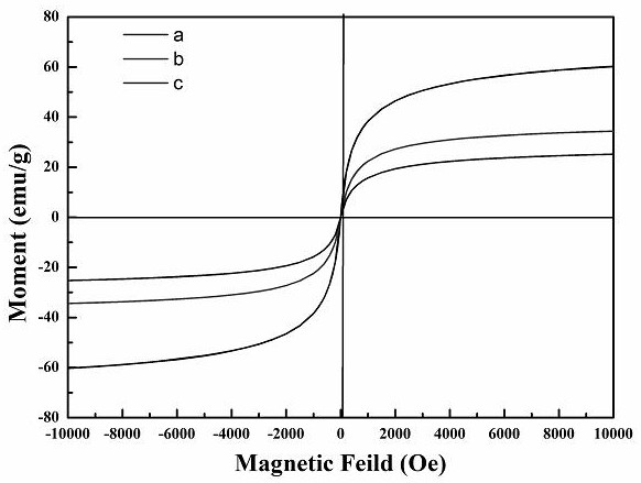 Preparation of magnetic immobilized penicillin G acylase doped with divalent manganese ions
