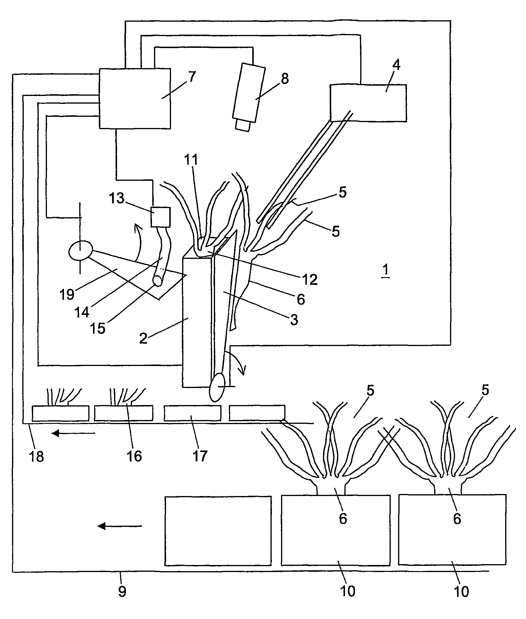 Method for separating rosette plants