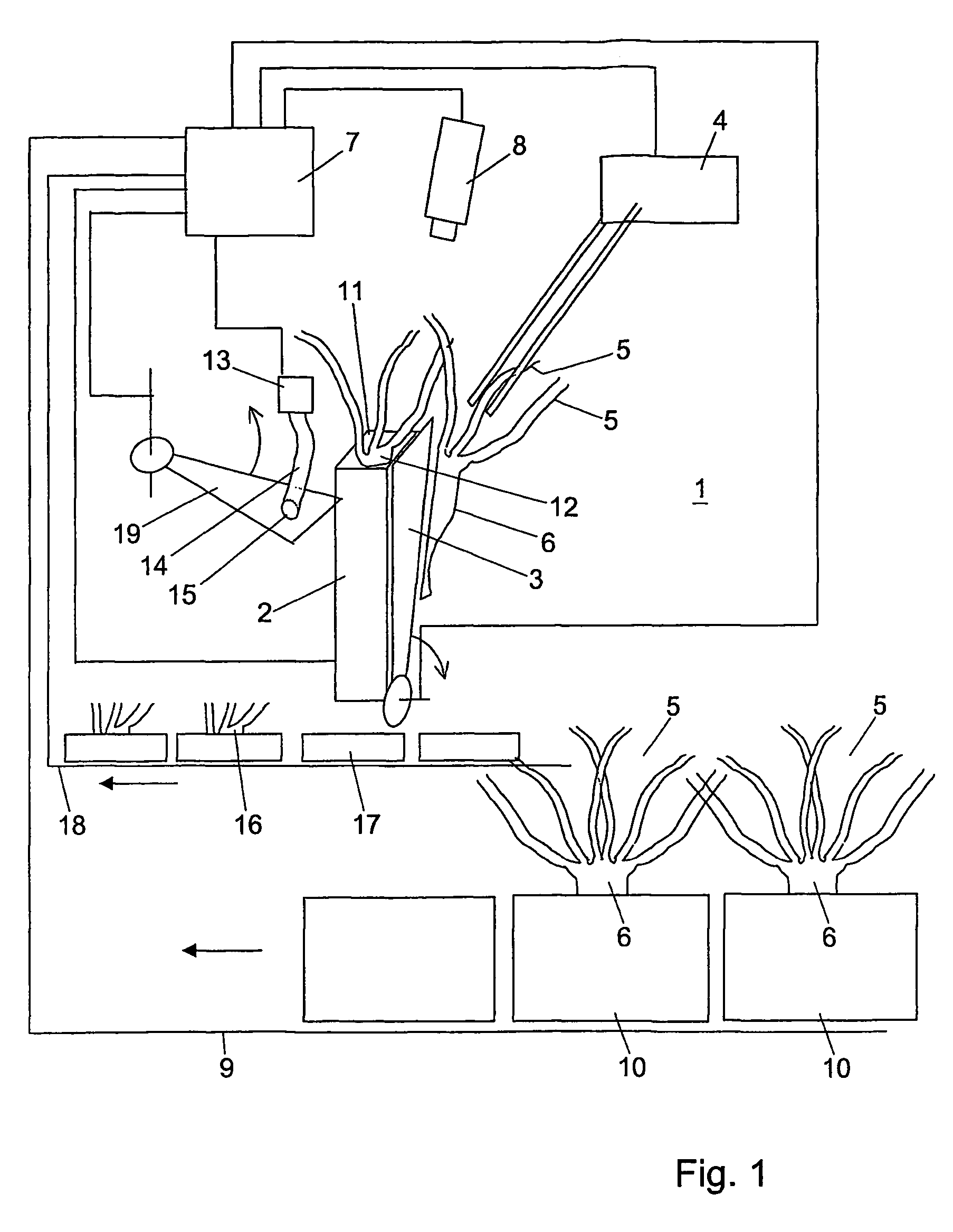 Method for separating rosette plants