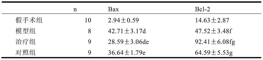 Medicine for curing cerebral ischemia and hydrocephalus after craniocerebral injury, and preparation method theroef