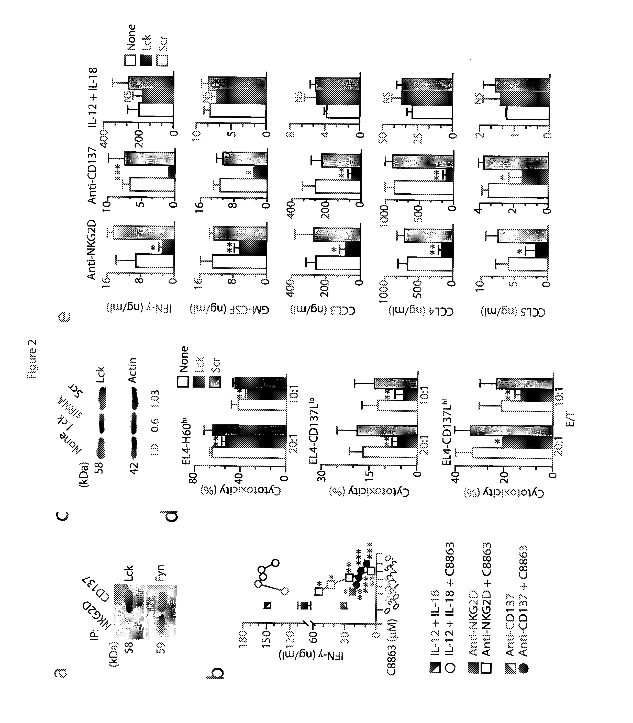 Method of providing cellular therapy using modified natural killer cells or t lymphocytes