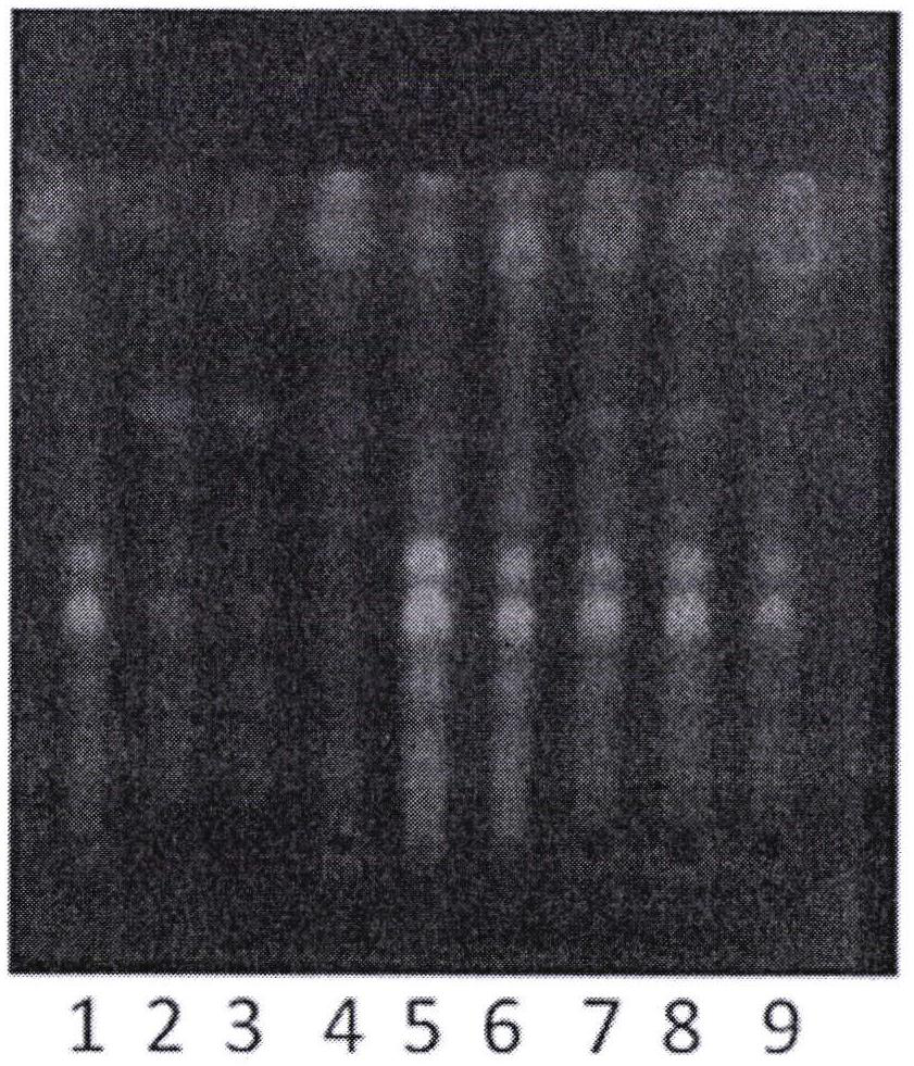 A detection method of a traditional Chinese medicine composition with sleep-improving function