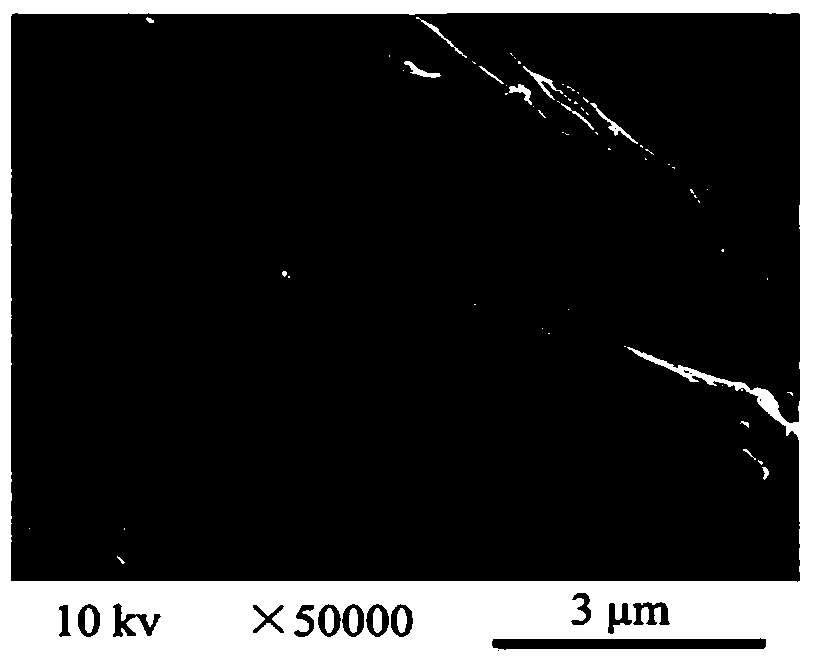 Preparation method and application of nano silver-bamboo shoot shell biochar composite material