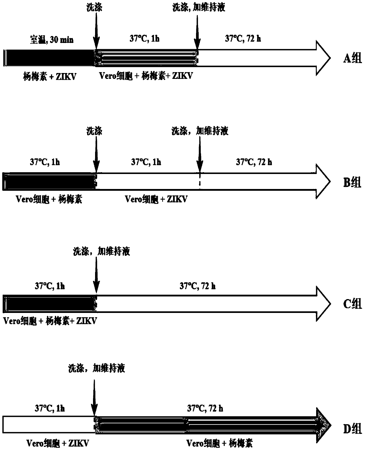 Application of myricetin and derivative thereof in preparing drug for resisting zika virus