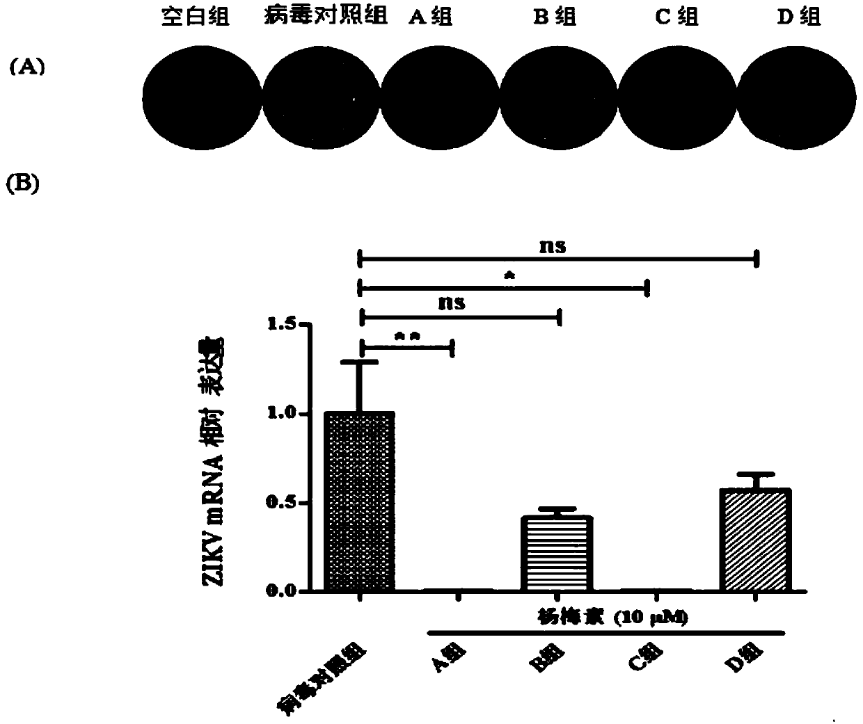 Application of myricetin and derivative thereof in preparing drug for resisting zika virus