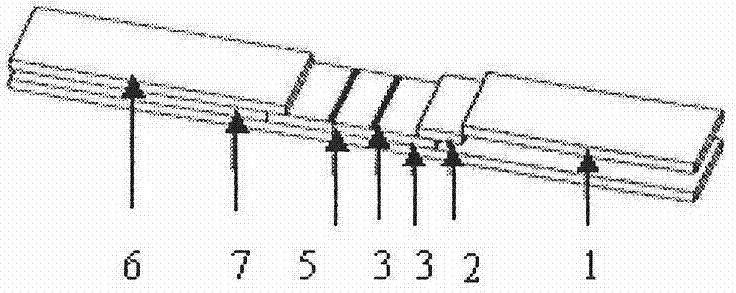 Colloidal gold test strip for detecting chicken infectious anemia virus