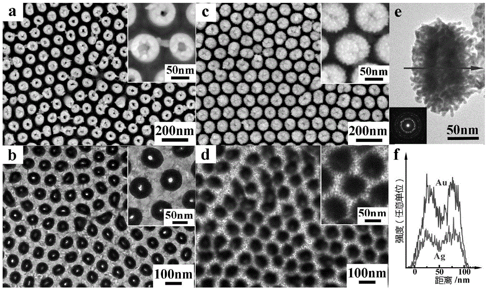 Gold nanotube array with gold and sliver nanowires built on surface and preparation method and application thereof