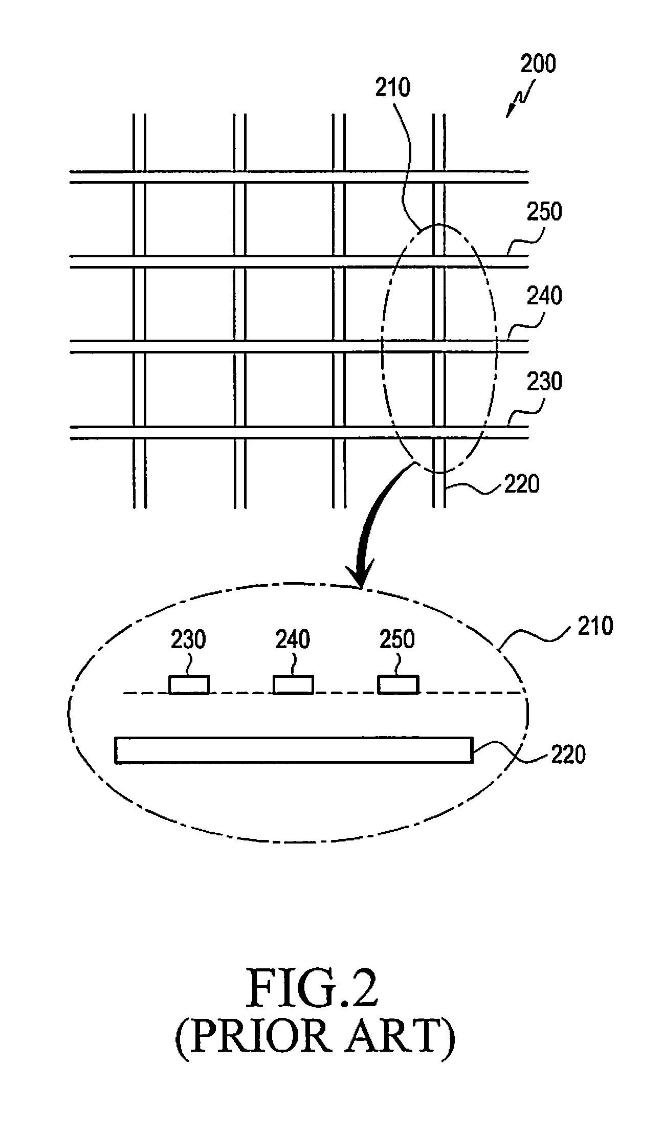 Touch panel and input recognition device using the touch panel