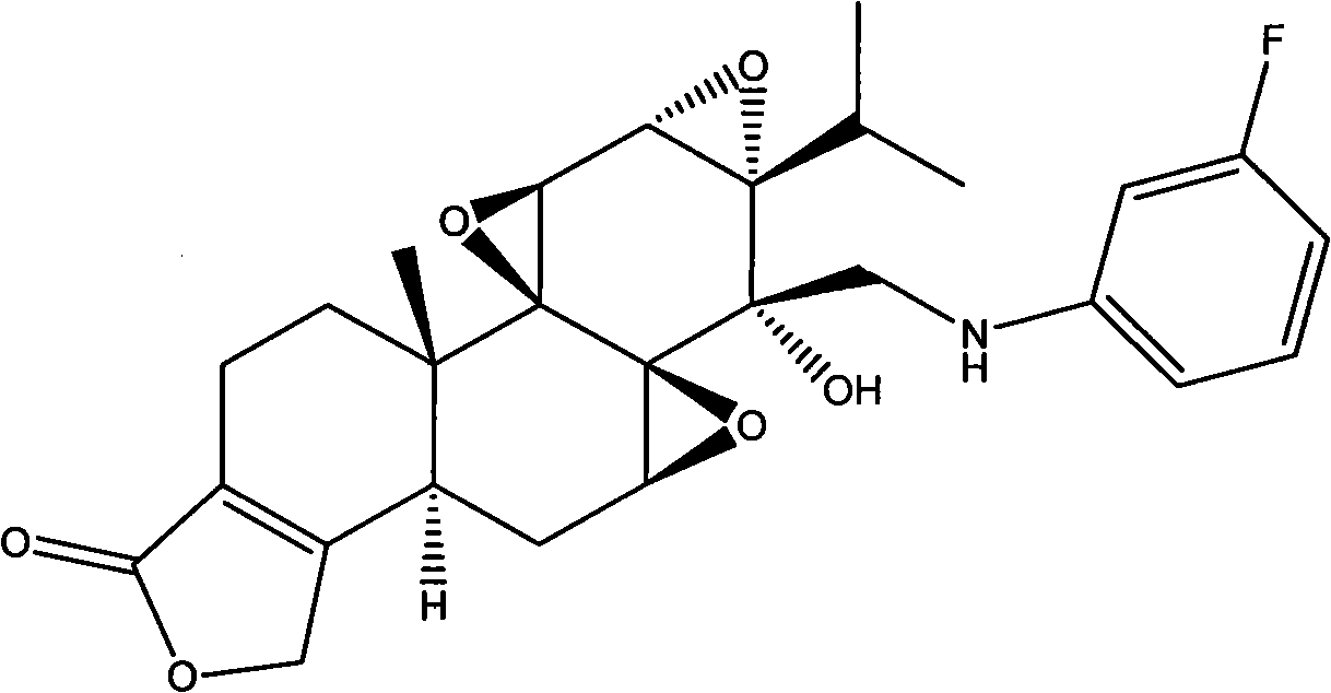 N-substituted fluorinated phenyl-14 beta-(aminomethyl) triptodiolide derivative and preparation method and application thereof