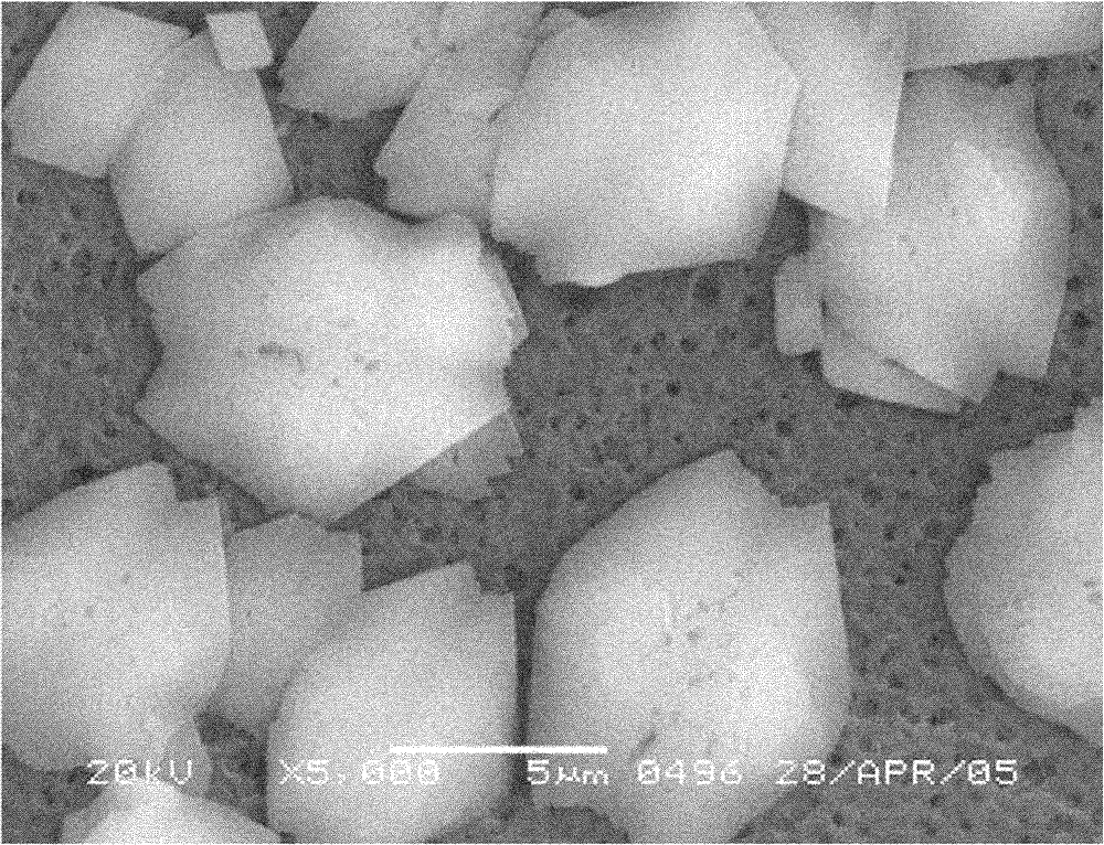 Method for preparing zinc oxalate with pearl luster and zinc oxide powder with pearl luster