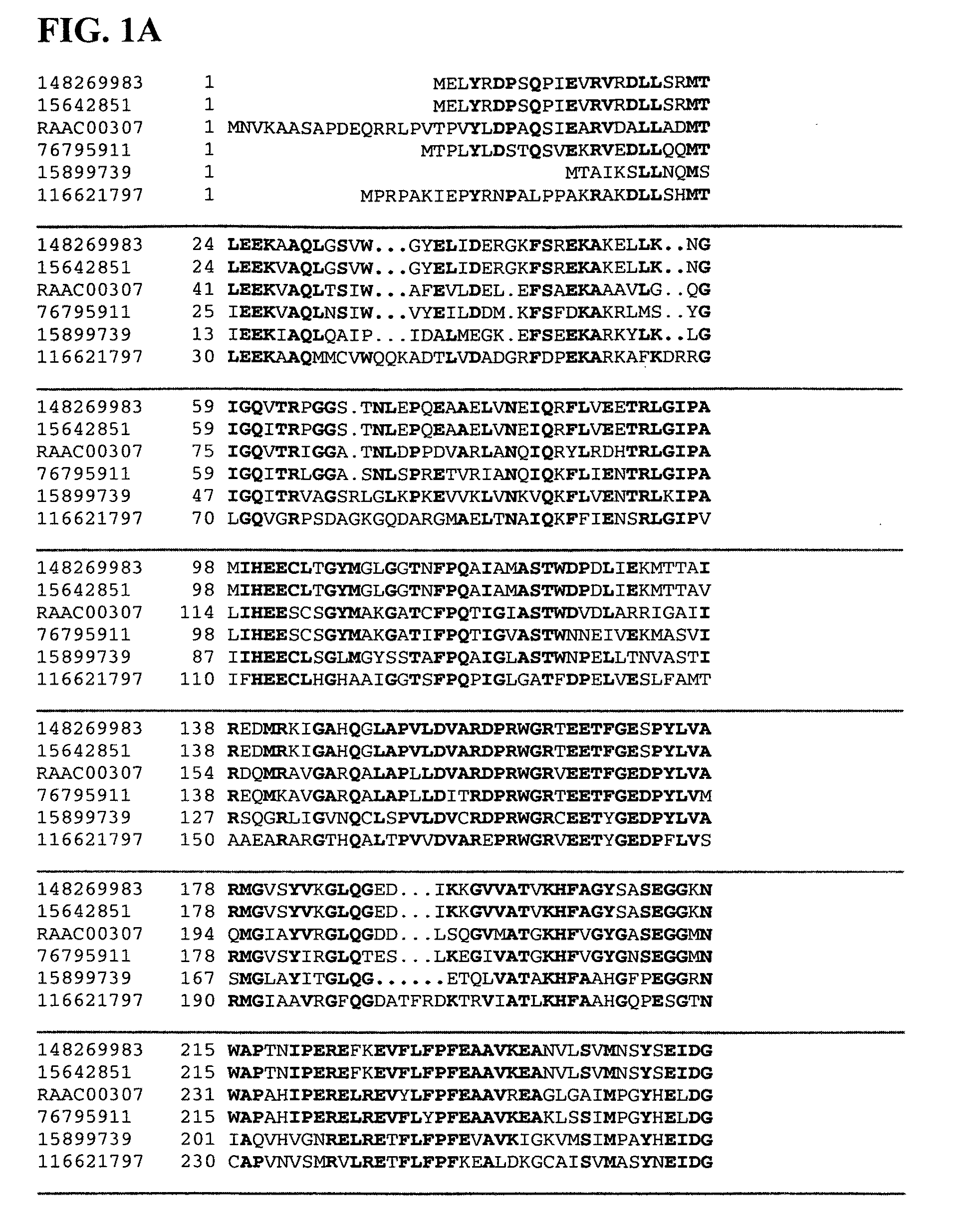 Thermal and acid tolerant beta-xylosidases, genes encoding, related organisms, and methods