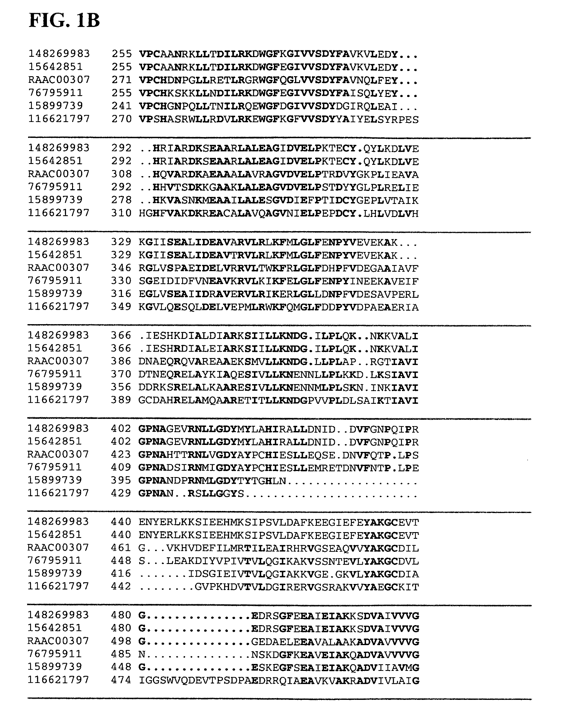 Thermal and acid tolerant beta-xylosidases, genes encoding, related organisms, and methods