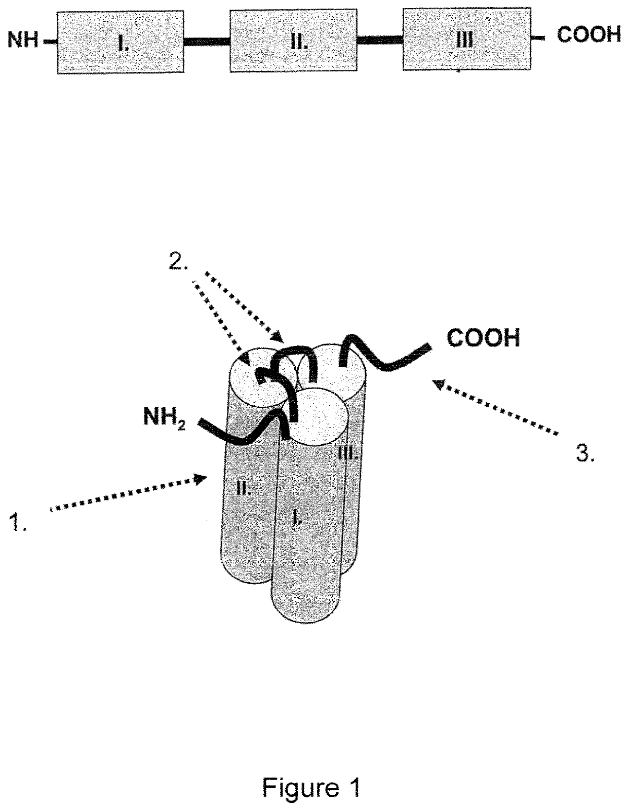 Single-chain cd27-receptor agonist proteins