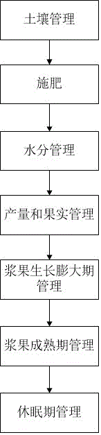 Method for managing adult grape vines