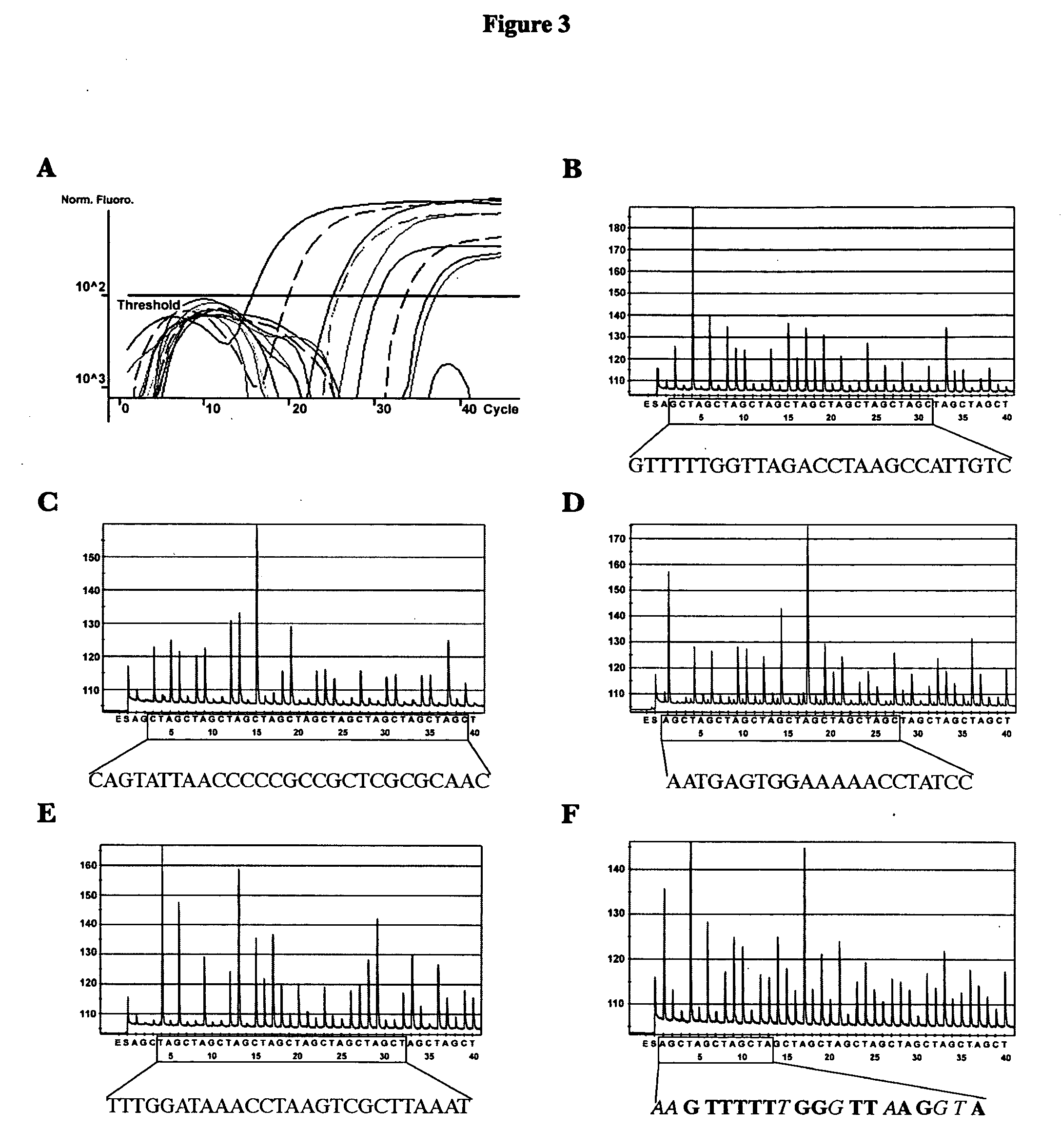 Methods and compositions for detecting and identifying species of Candida