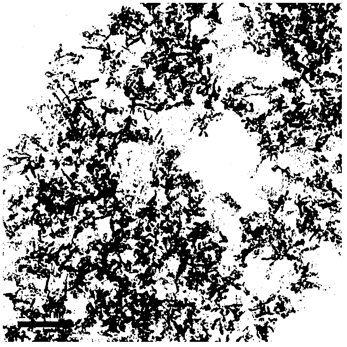 Method for preparing carbon-coated nanometer molybdenum dioxide material