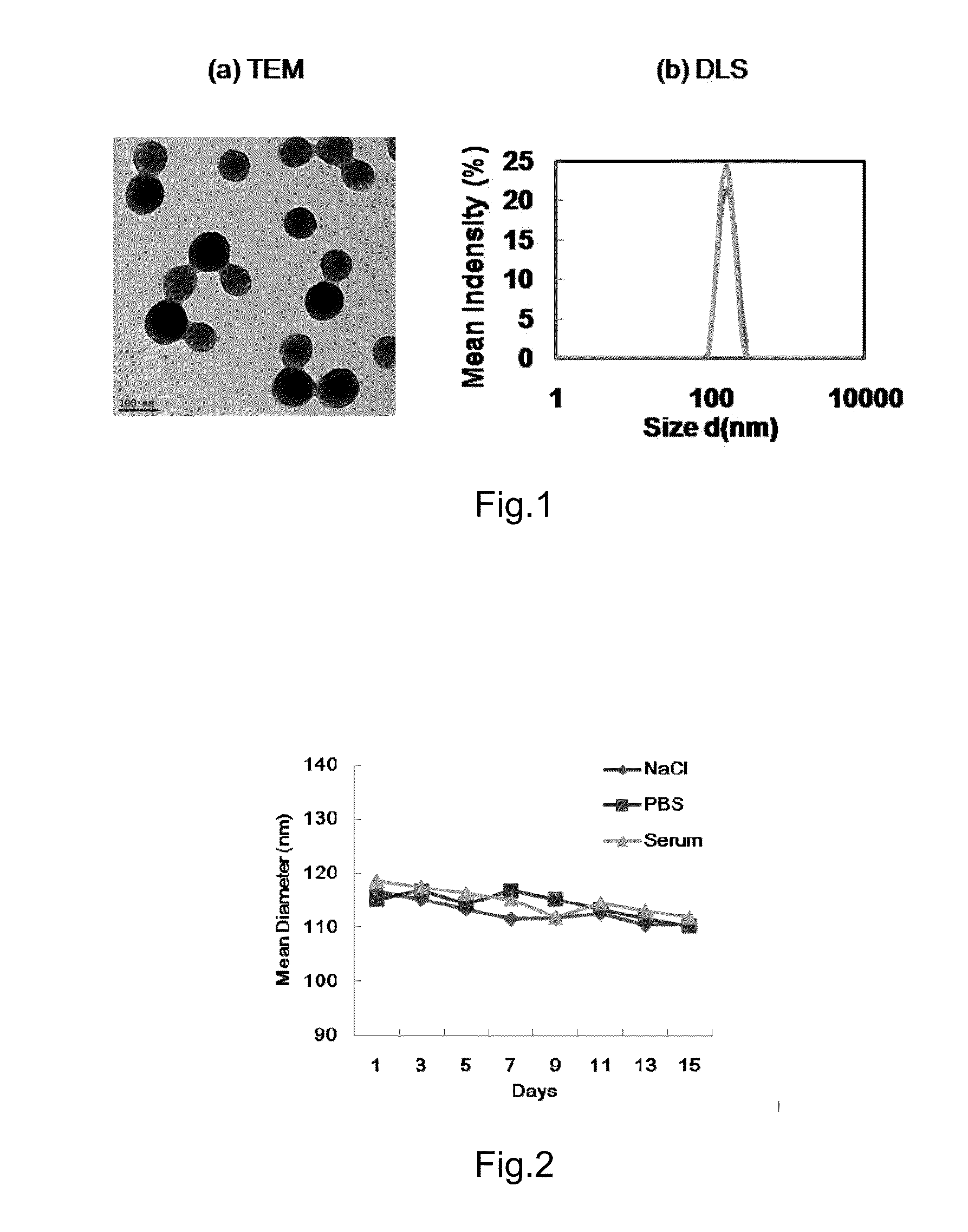 Active targeting antitumor drug and preparation method therefor
