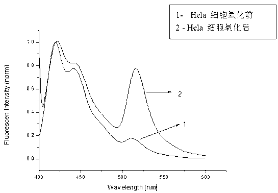 Fluorescent method of 5-hydroxymethylcytosine based on FRET (Forster Resonance Energy Transfer) principle