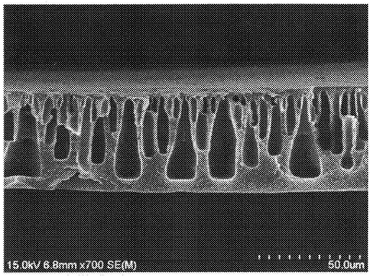 Forward osmosis membrane for seawater desalination and method for preparing the same