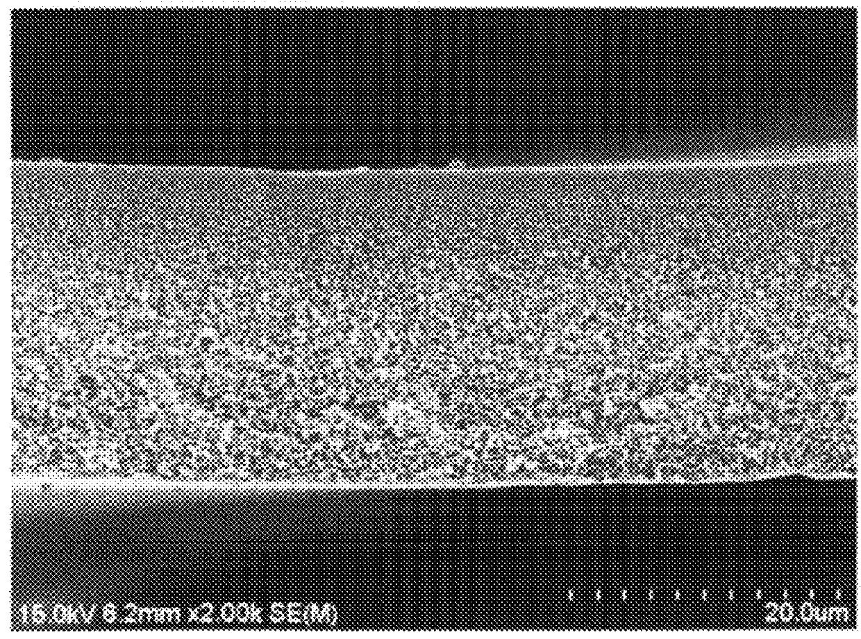 Forward osmosis membrane for seawater desalination and method for preparing the same